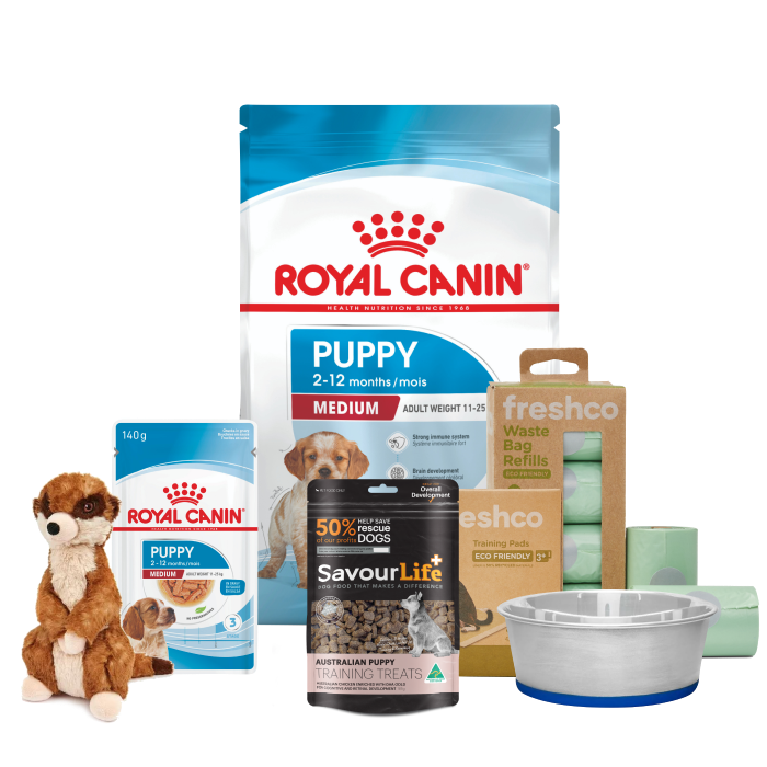 Puppy Medium Bundle Petbarn