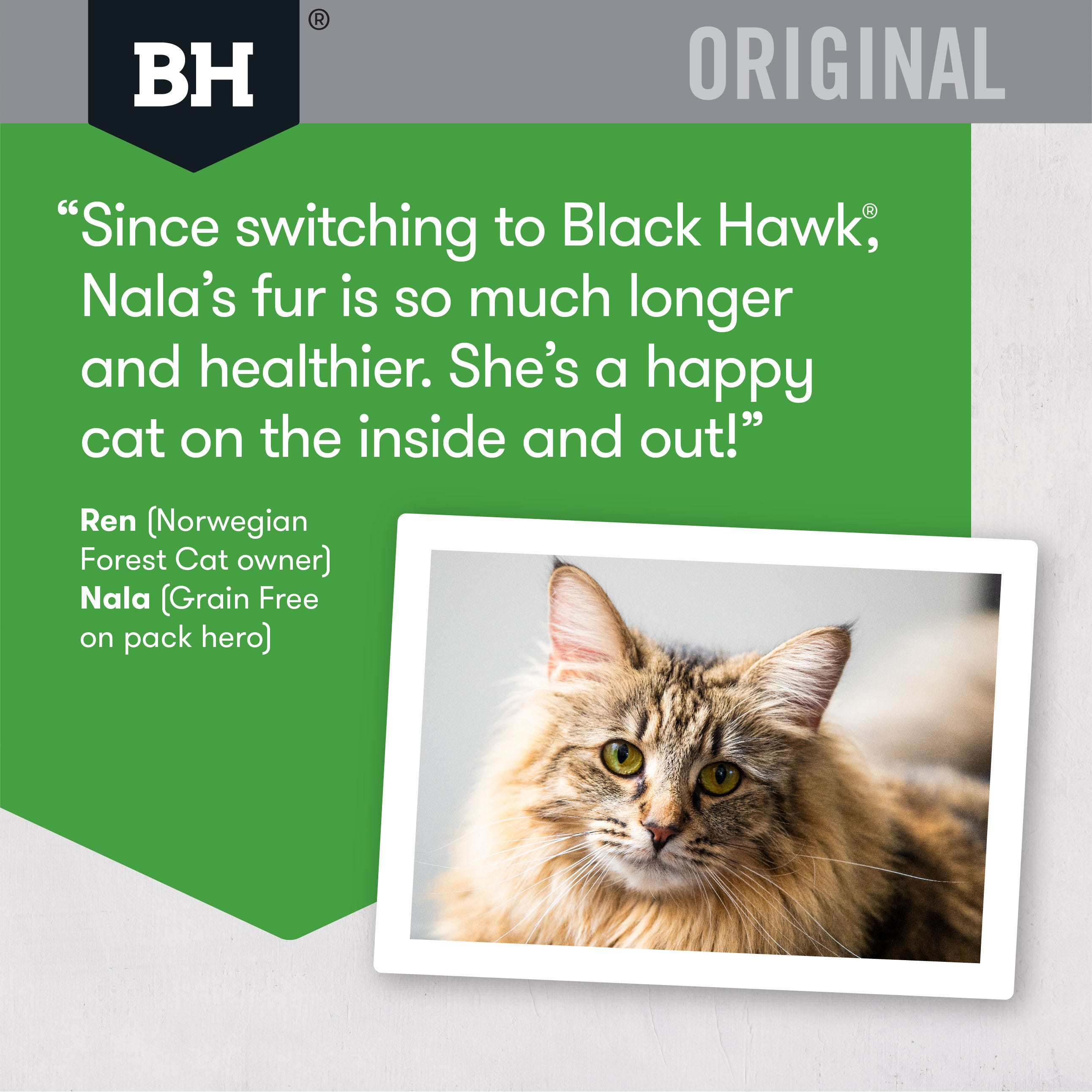 Petbarn black hawk discount