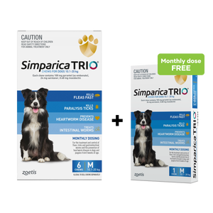 Simparica Trio 10.1-20kg Dog Flea Tick & Worm Chew 6PK + Free 1PK