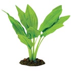 Aqua One Broad Leaf Amazon Silk Plant - 13cm