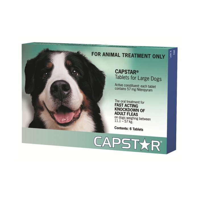 Capstar flea treatment new arrivals