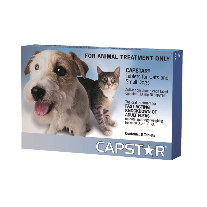 Capstar flea hotsell treatment for dogs