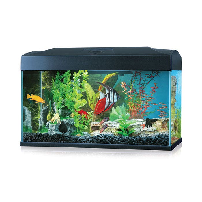 50l outlet fish tank