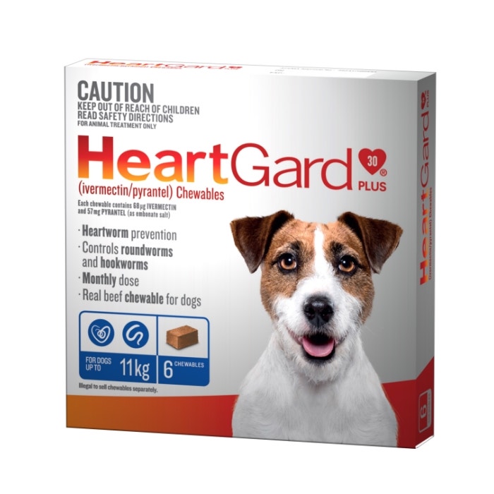 Heartworm for top small dogs