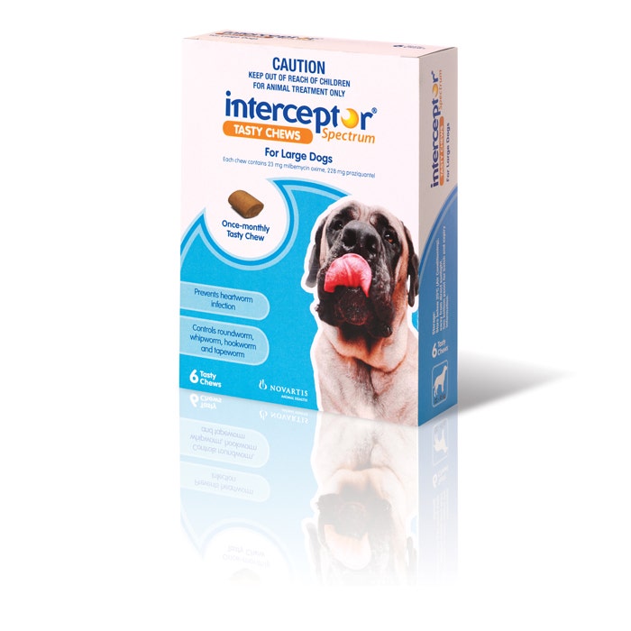 Spectrum chews large dog blue cheap