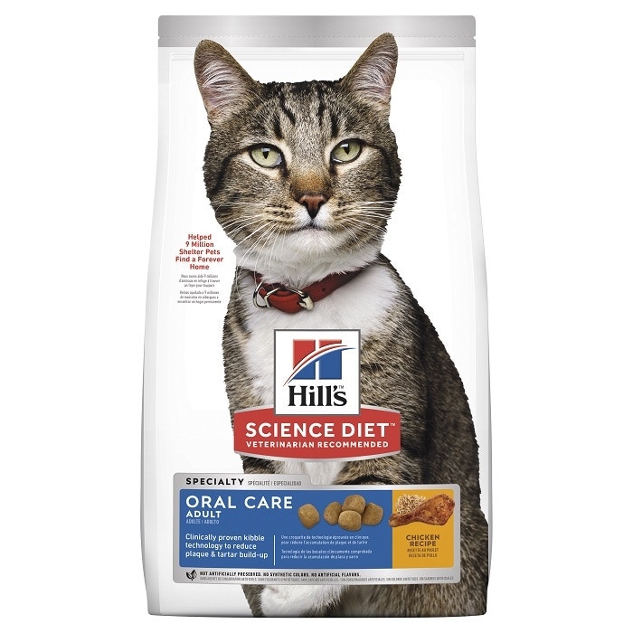 Kitten food science diet shop