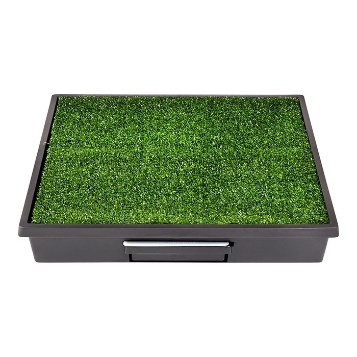 PetSafe Pet Loo Dog Toilet Petbarn