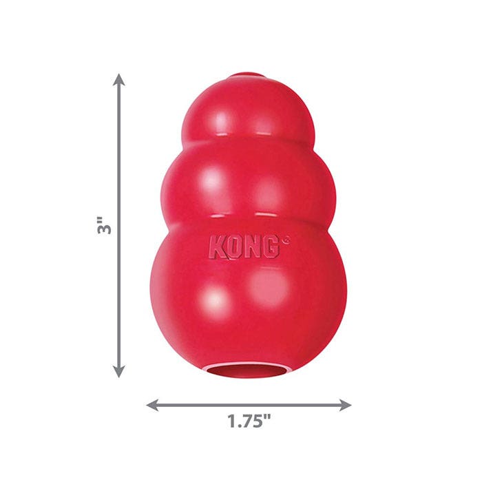 Kong toys petbarn sales