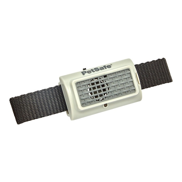 Barking collars pet barn hot sale