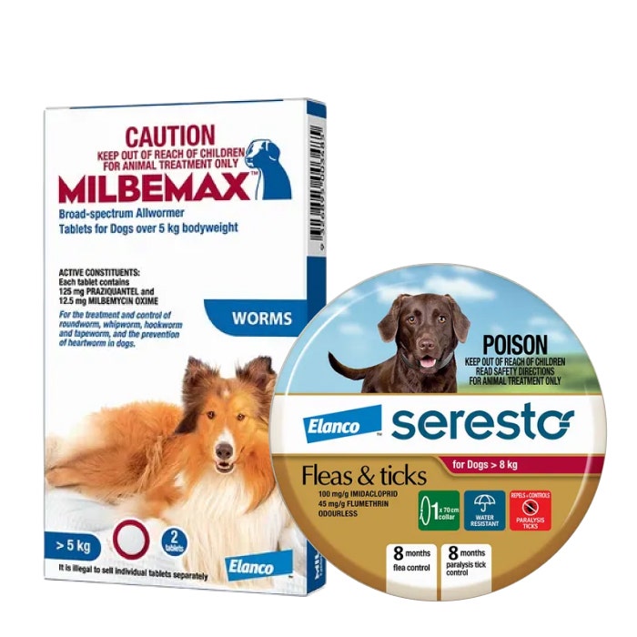Buy Seresto Flea Tick Dog Collar Medium Large Online Petbarn