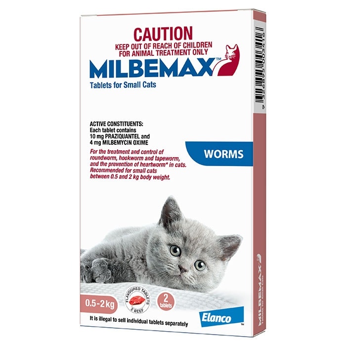 Kitten hotsell worming tablets