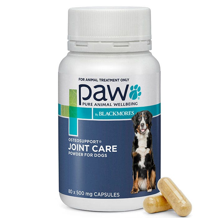 Joint help for dogs outlet