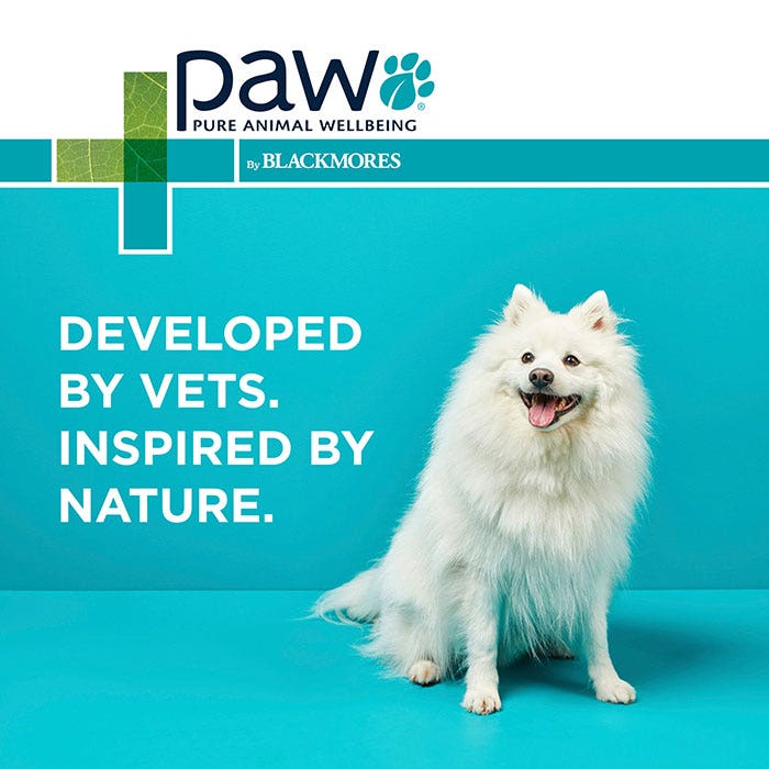 Paw puppy shampoo online
