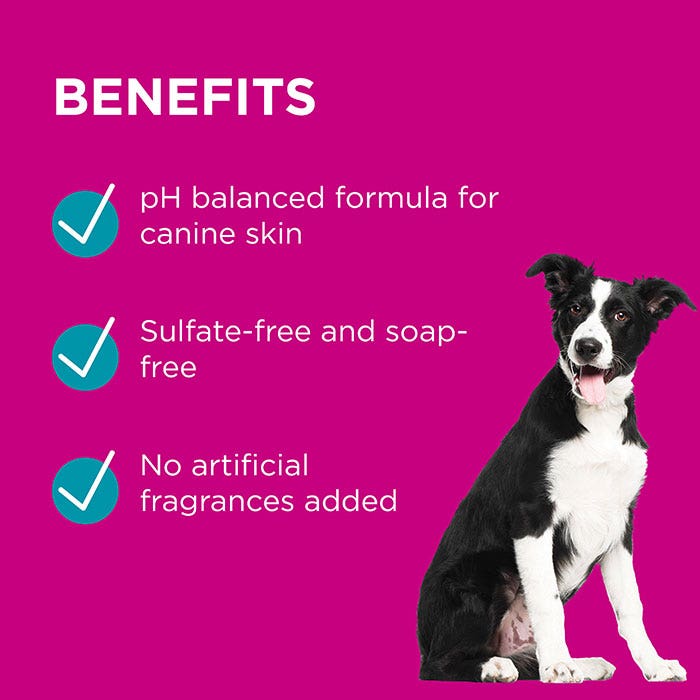 Paw Lavendar Grooming Mist For Dogs 200ml Petbarn