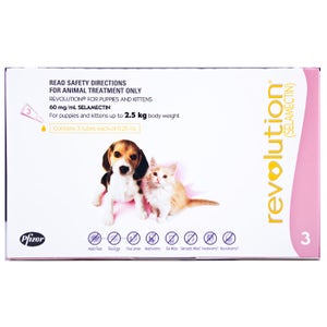 Revolution Pink For Puppies & Kittens