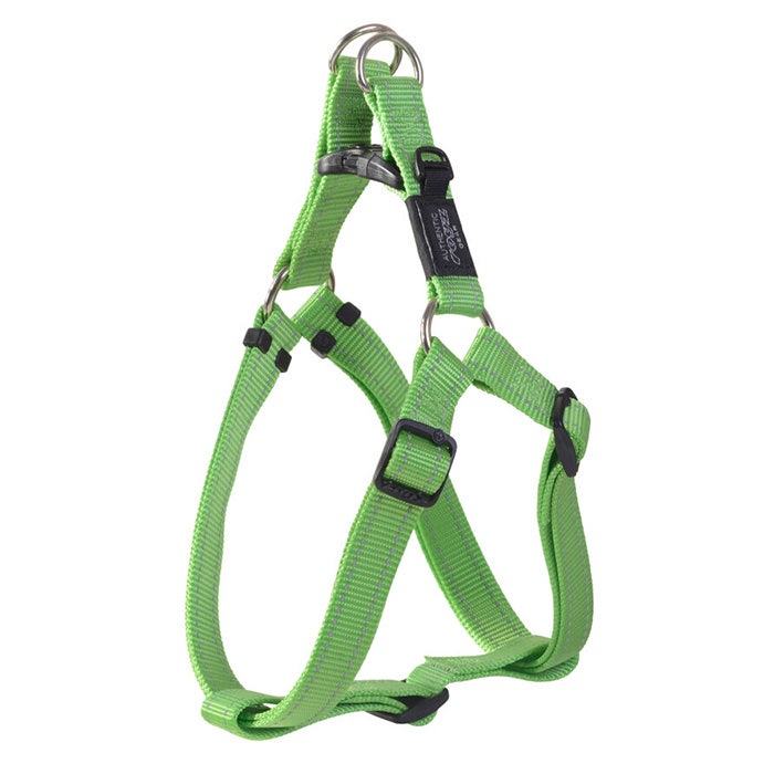 Petbarn harness sale