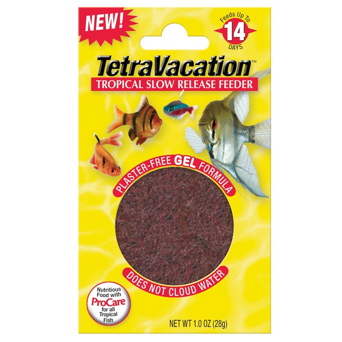 Vacation sales fish feeder