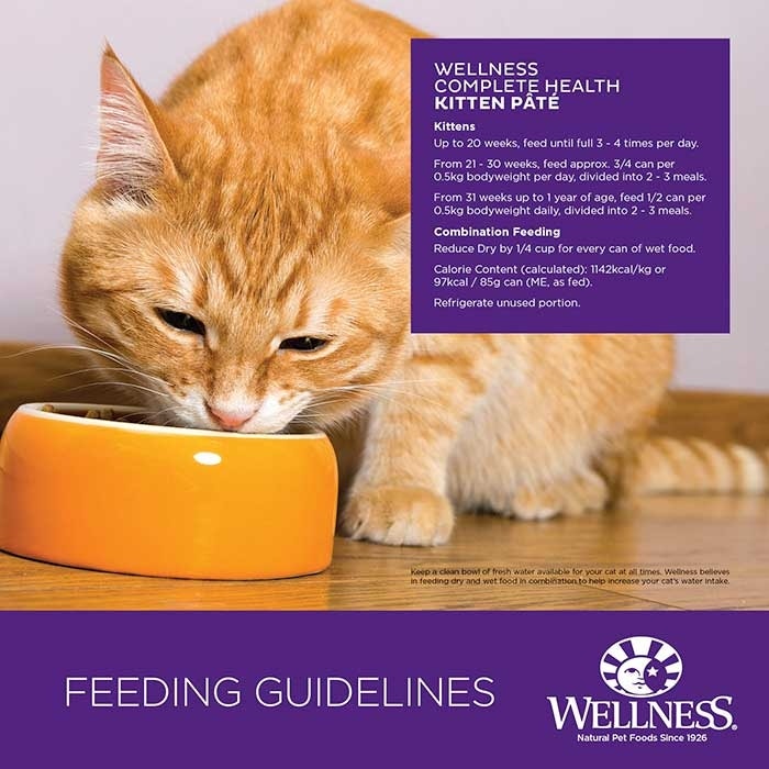 Wellness Formula Kitten Food 85g x24