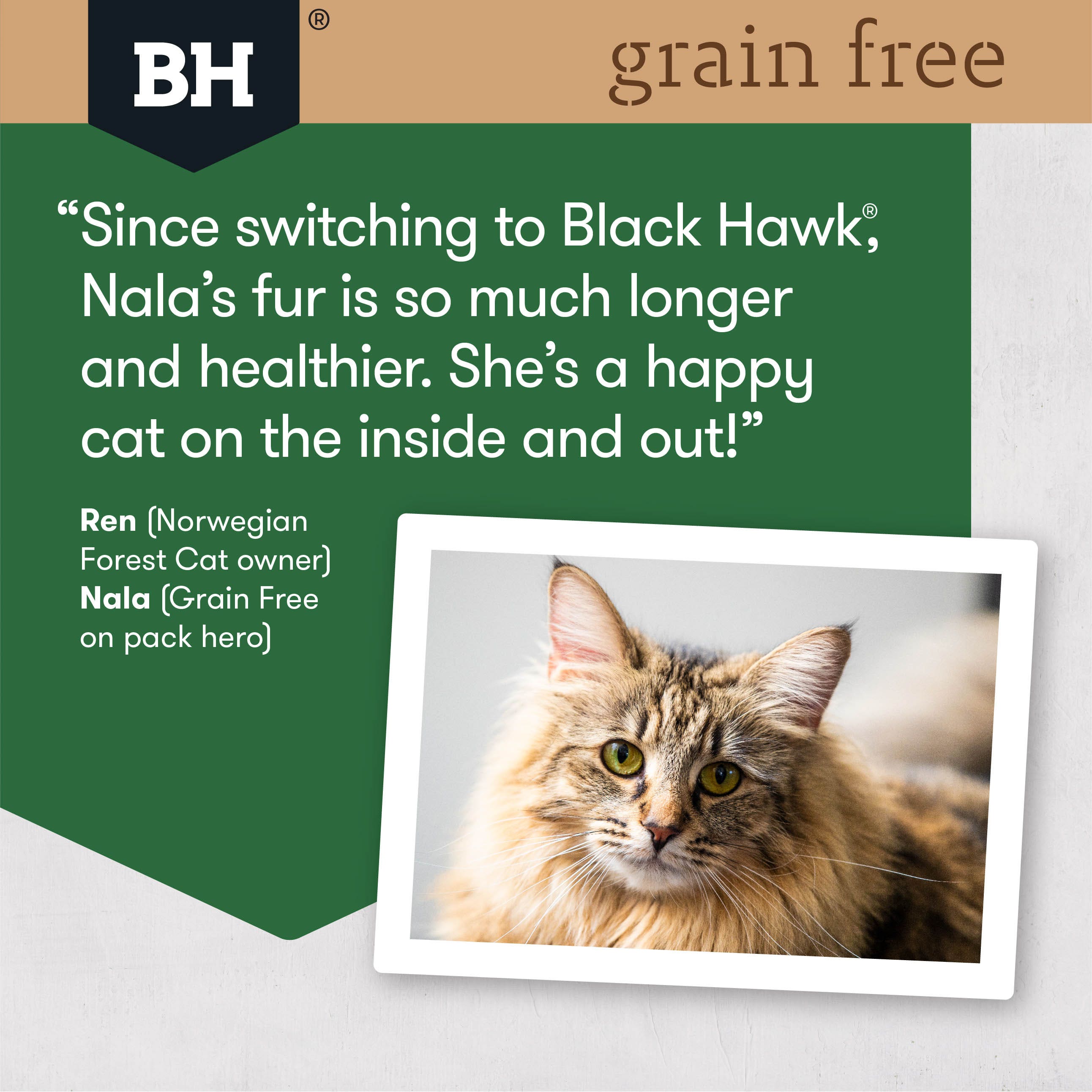 Black hawk grain sales free cat food