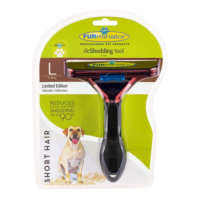 Deshedding short 2025 hair dog