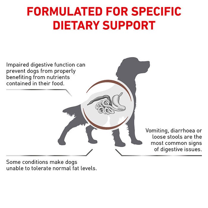Royal Canin Veterinary Diet Gastro Low Fat Adult Dog Food