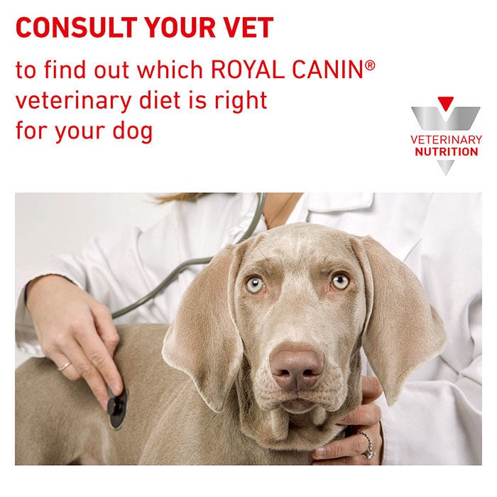 Royal canin gastrointestinal deals low fat petbarn
