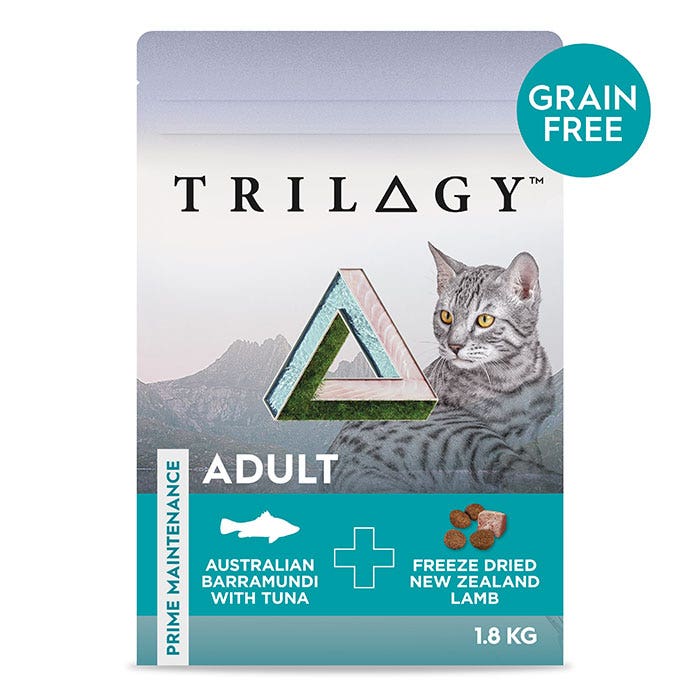 Authority grain free kitten cheap food