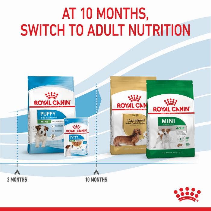 Royal canin $10 best sale coupon