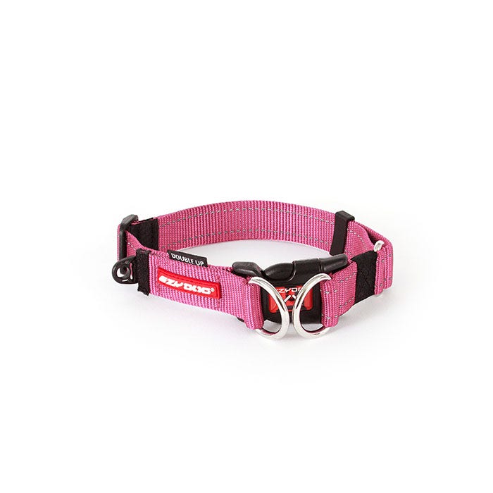 Martingale collar petbarn sale