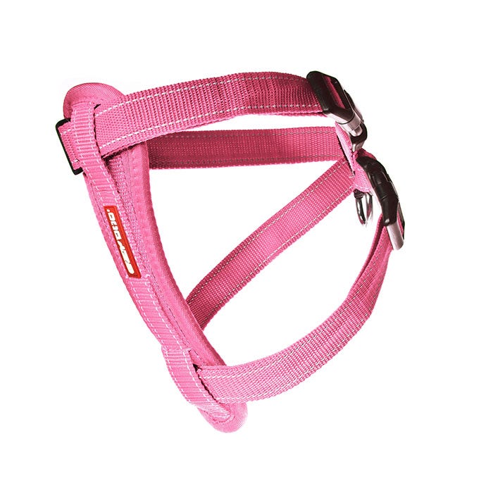 Petbarn ezydog discount harness