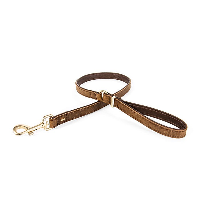 Petbarn retractable lead sales