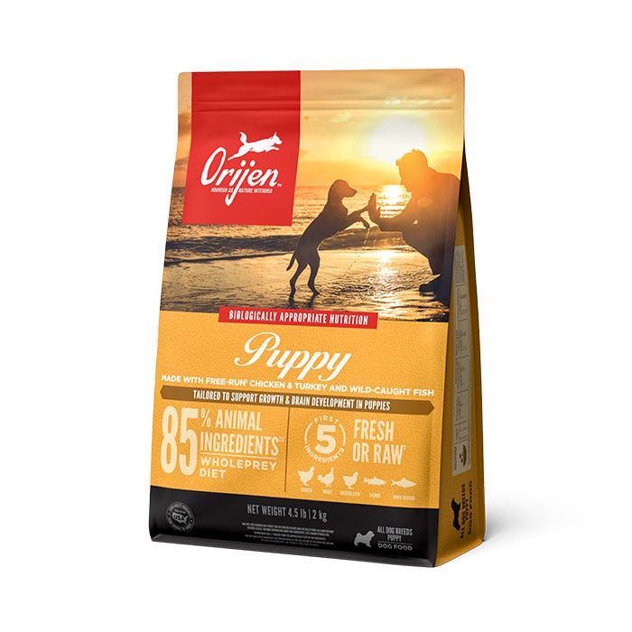 Orijen large breed puppy food reviews outlet