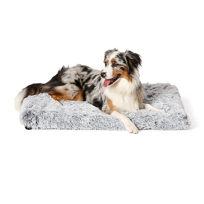 Petbarn beds hotsell
