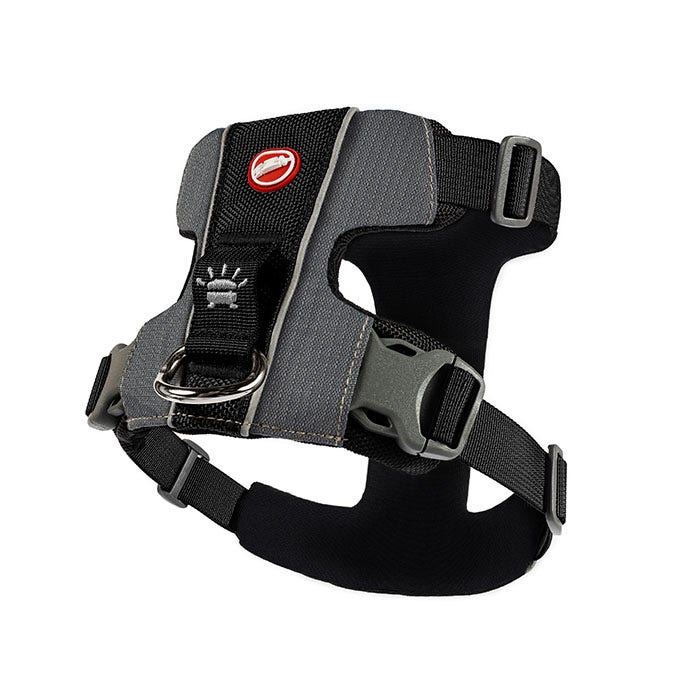Pup crew pro harness review outlet