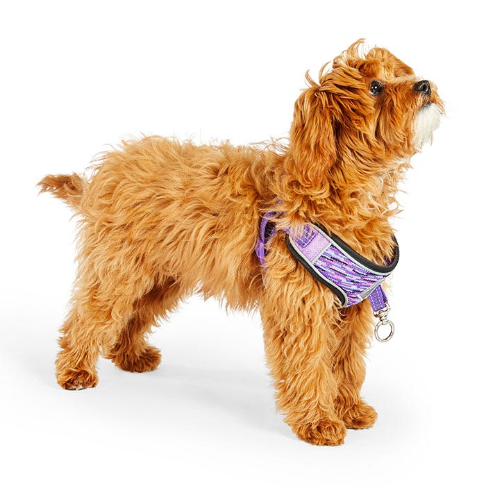 Pup crew pro pathfinder harness on sale