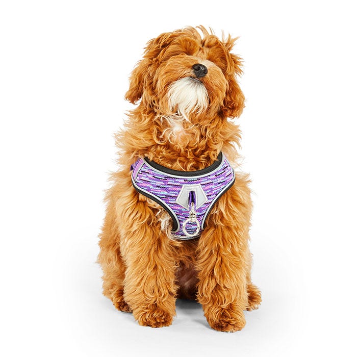 Pup crew pro harness best sale
