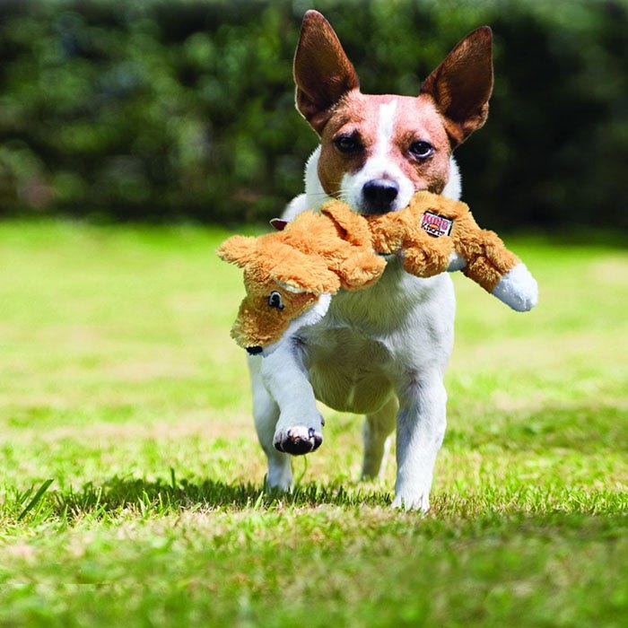 Orange fox dog toy on sale