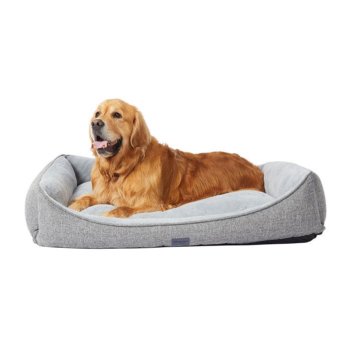 Harmony dog deals basket