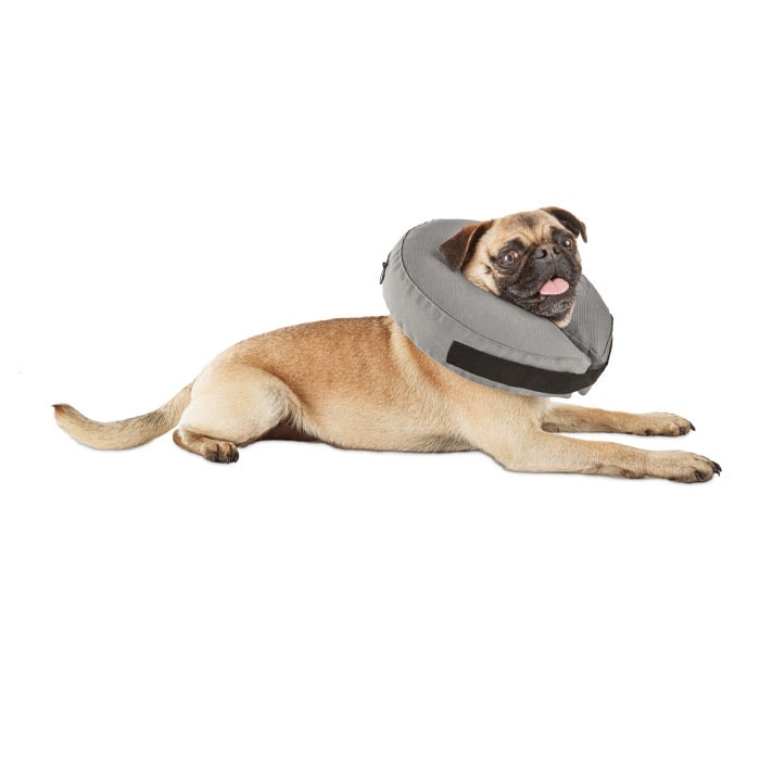Best inflatable dog collar shop