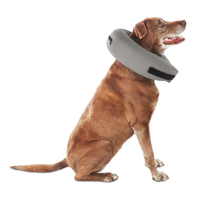 Inflatable dog best sale cone