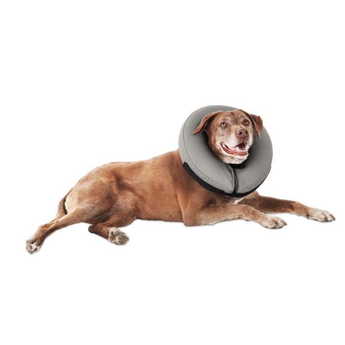 Bow Bell Inflatable Dog Collar