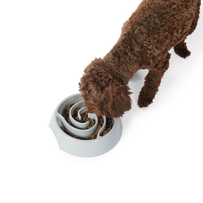 Petbarn slow feeder shop