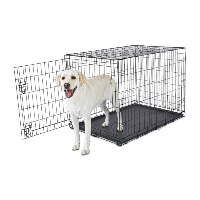 Petbarn dog online crates