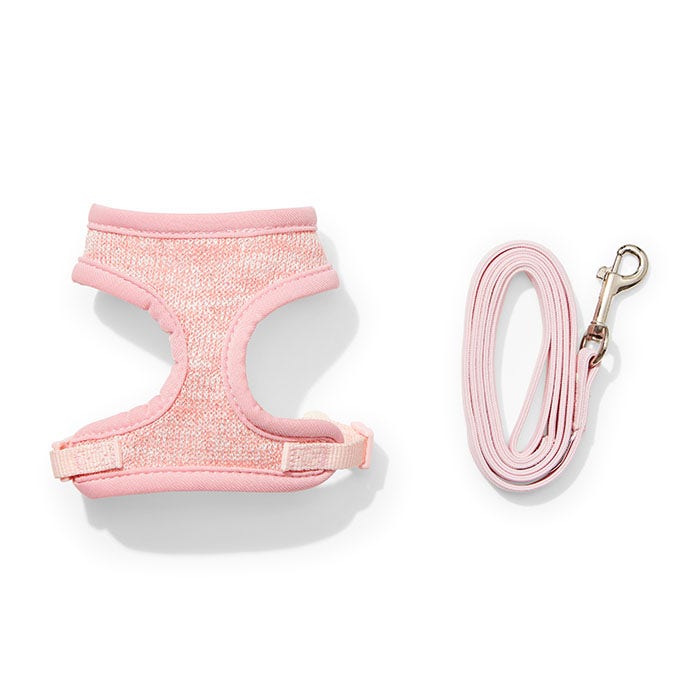 Kitten lead and sales harness