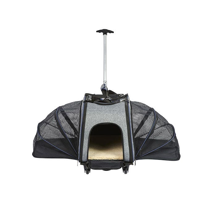 Petbarn inflatable collar top