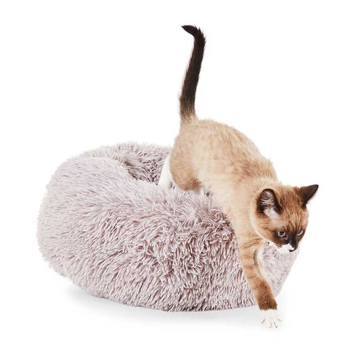 Heated cat cheap bed petbarn