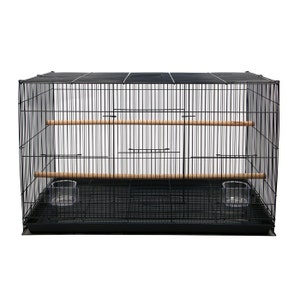 142398_watson_williams_bird_cage_flight_1.jpg