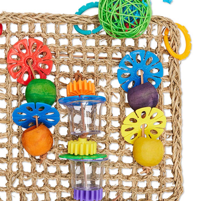 Buy Watson Williams Foraging Wall Bird Toy Multi Colour M Online Petbarn