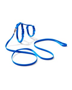 All Day H Strap Cat Harness & Lead Set Blue S