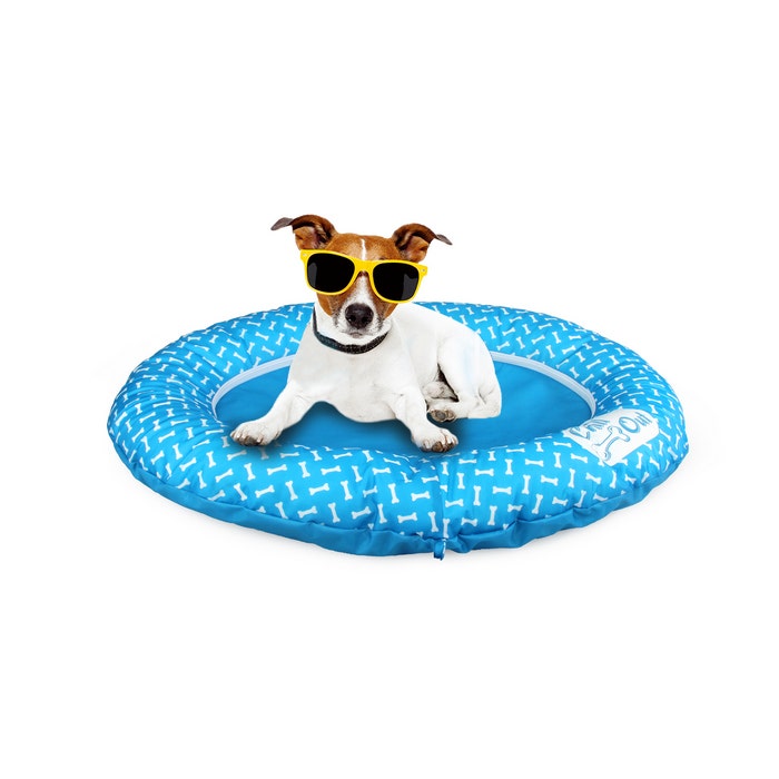 Petbarn shop inflatable collar